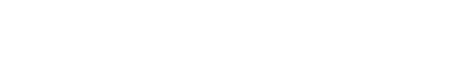 LIGHT UP NIPPON 日本を照らした奇跡の花火