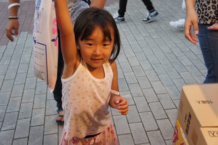 LIGHT UP NIPPON 2012 野田村
