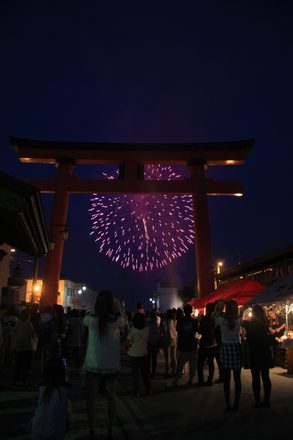 LIGHT UP NIPPON 2012 野田村