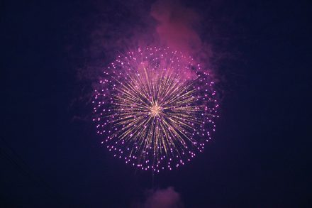 LIGHT UP NIPPON 2012 野田村