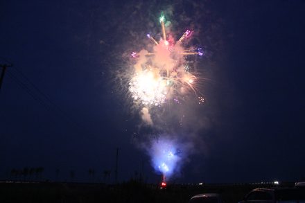 LIGHT UP NIPPON 2012 野田村