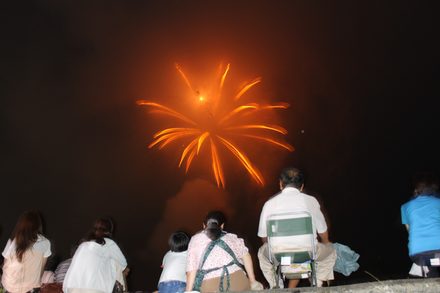 LIGHT UP NIPPON 2012 陸前高田市