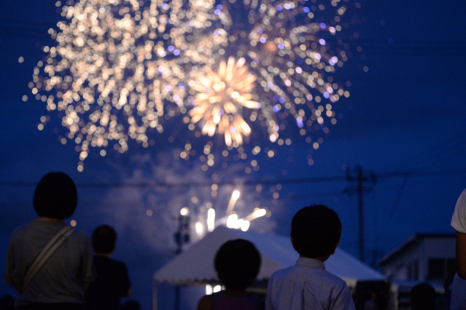 LIGHT UP NIPPON 2015 野田村(花火)