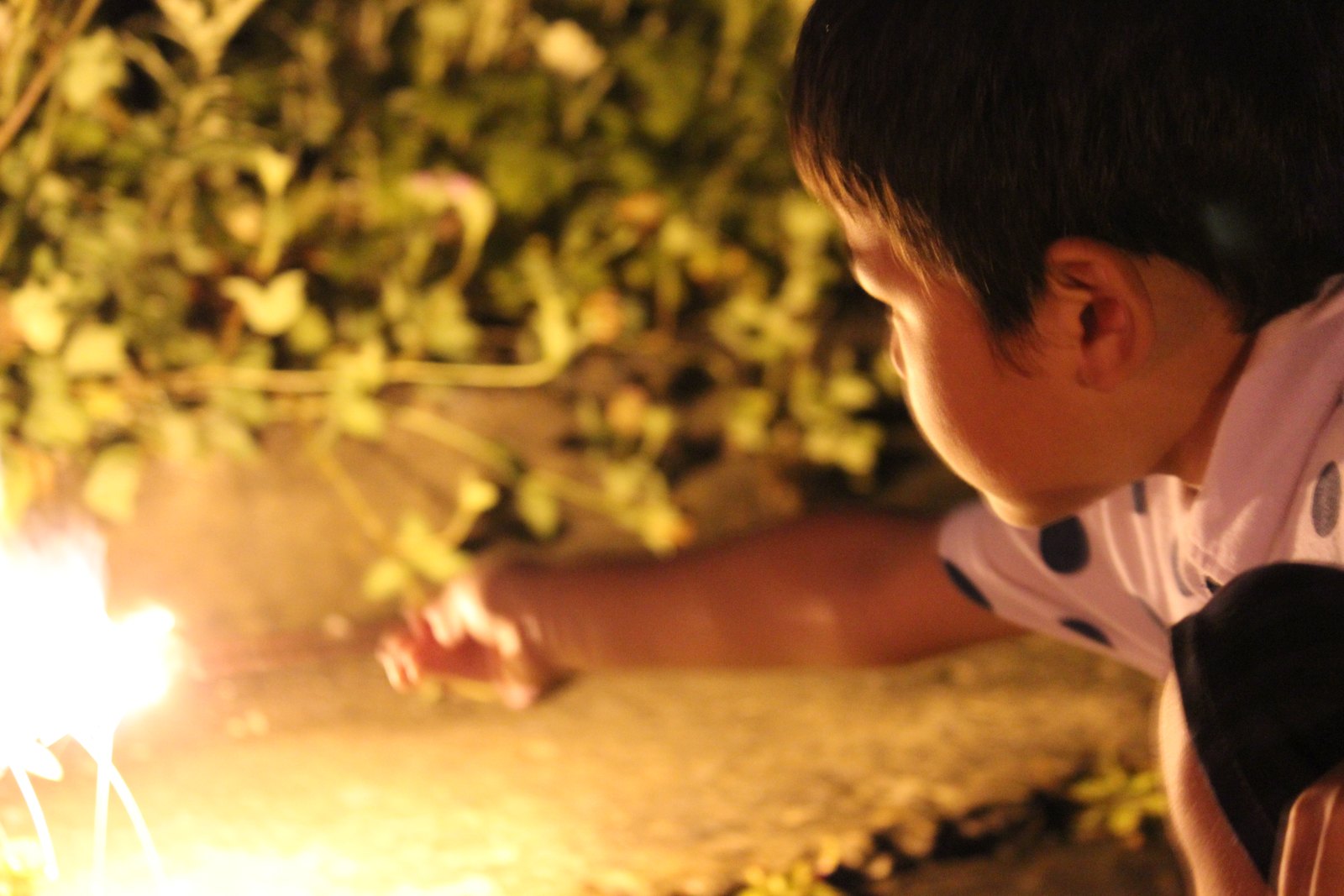 LIGHT UP NIPPON 2015 田野畑村(会場)