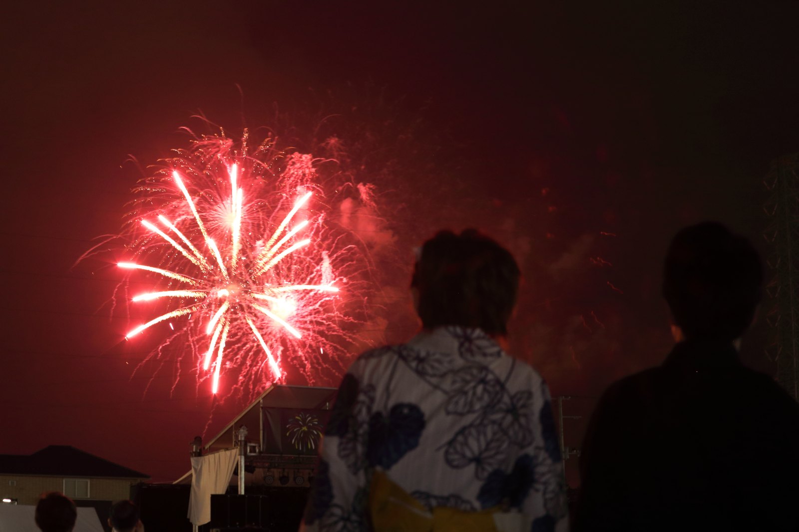 LIGHT UP NIPPON 2015 仙台港(花火)